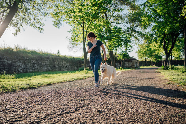 zeit-mit-hund